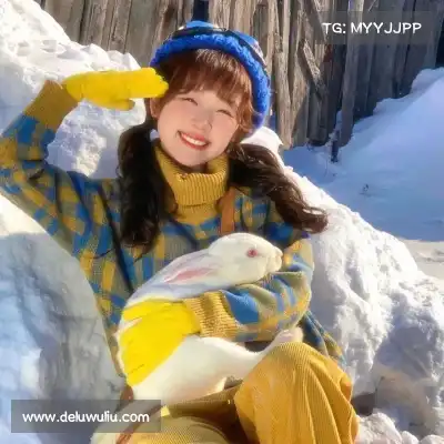 蓬盈晓